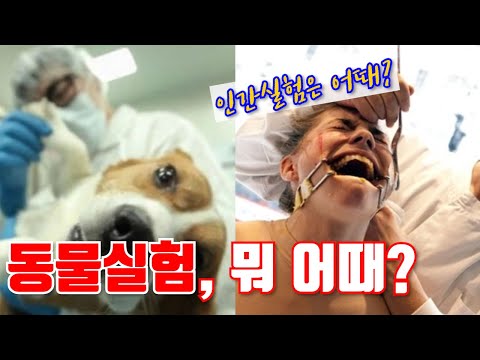 애니멀티비/동물티비 애니멀티비/동물티비