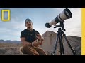 Wildlife Exploration in Big Bend National Park