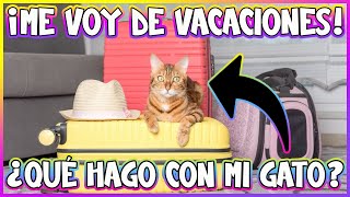 ¿TE VAS DE VACACIONES? ¡No Dejes Solo a Tu Gato Sin Antes Ver Esto!