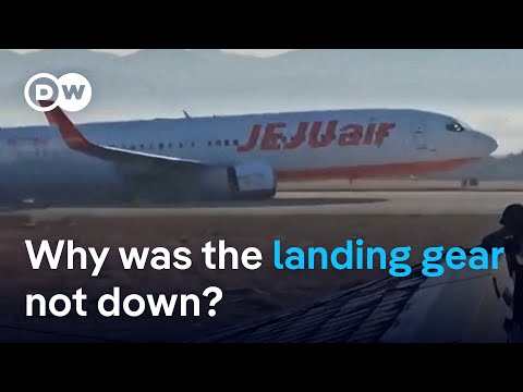 What caused Jeju Air plane crash in South Korea? | DW News