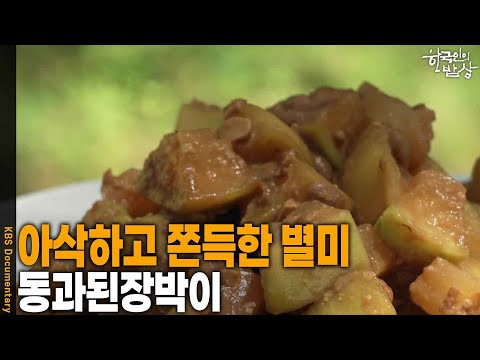 [한국인의 밥상] 아삭하고 쫀득한 별미, ‘동과된장박이’ | KBS 260827 방송