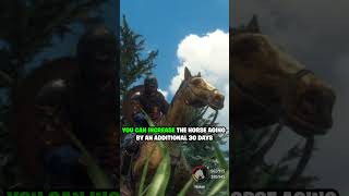 HOW TO SAVE HORSE in MMORPG GLORIA VICTIS