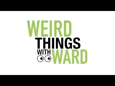 Weird Things With Ward - Episode 2 -  The Synchronous Fireflies | SGTV News 4