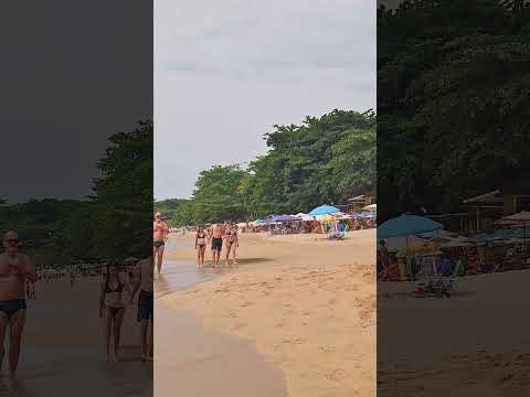🇧🇷 Ilhabela on a scorching summer day! ☀️🏖️ #shorts.