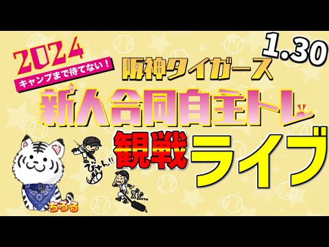 【 阪神タイガース 鳴尾浜 自主トレ生中継 阪神ファン集合 】 1/30 阪神タイガース 新人合同自主トレ 2024 一緒に観戦 #阪神ライブ #タイガースライブ #ライブ ＃新人自主トレ #才木浩人