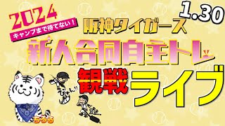 【 阪神タイガース 鳴尾浜 自主トレ生中継 阪神ファン集合 】 1/30 阪神タイガース 新人合同自主トレ 2024 一緒に観戦 #阪神ライブ #タイガースライブ #ライブ ＃新人自主トレ #才木浩人
