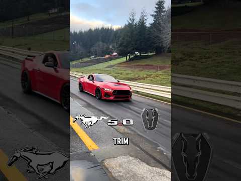 The New Mustangs are INSANE 🤯