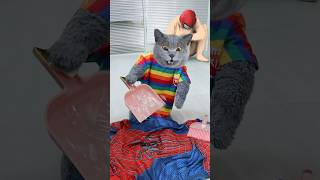 🥺Don't Forget To Wrap Trash To Protect Furry Friends!🐈❤️ #catvideos #catmemes #trending