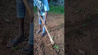 @takealook. #youtubeshort2023 @SMR-BADSAH @TajmahalTVLive @rupanroy7777