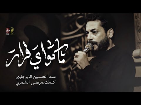 ماكو اي قرار ـــ الرادود عبد الحسين الزيرجاوي ــ حسينية وموكب الضامن ــ 2024