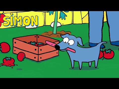 🐾 ¡Simón y Elvis en la misión: sin desastres esta vez! 🍅🌊 | Simón | Episodios Completos Temp.1 | 30m