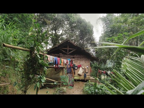 Merinding.. Jumpa Satu Keluarga Yang Tinggal Di Rumah Tengah Hutan Yang Selalu Di Teror Mahluk halus
