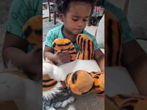 Kai and his stuffed tiger, Mike - if you know, you know 😉 #geauxtigers #shorts #toddlers #momlife