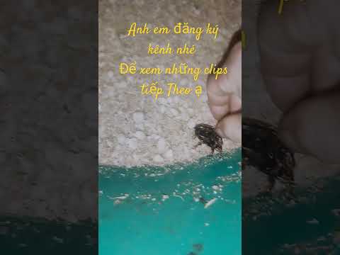 nhộng cọ nhé mọi người