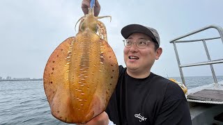 배 타고 5분!? 몸통만한 비싼 오징어!?여기는 지금 쏟아집니다!미쳤다!