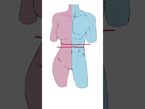 Mistake when Drawing Body - Quick Art Tips #art #sketch #shorts #tutorial #drawingtutorial #anime