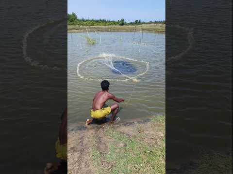 fishing net videos 🐟🐟