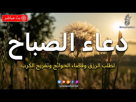 دعاء الصباح المستجاب لطلب الرزق والفرج وقضاء الحوائج 🤲 دعاء مستجاب يفتح لك الابواب المغلقه باذن الله