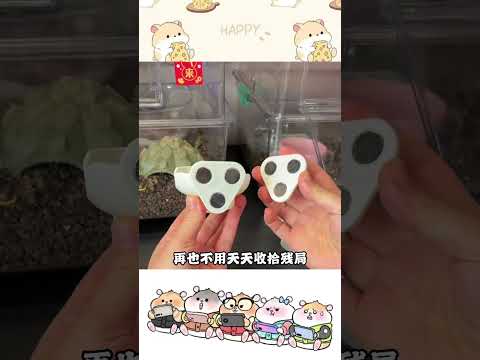 Hamsters should drink the right water otherwise they won t be able to sleep#Daily sharing