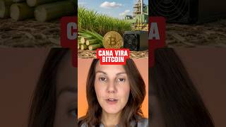 Cana-de-açúcar usada pra MINERAR Bitcoin no Mato Grosso do Sul na parceria Adecoagro e Tether