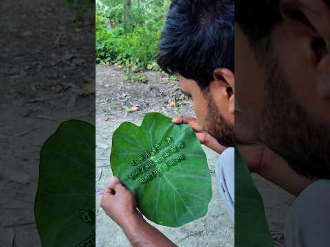 जादुई कैची का कमाल 😱 #magicalkaichi #jaduaikaichi #trendingshorts #magic #jadu #aryan