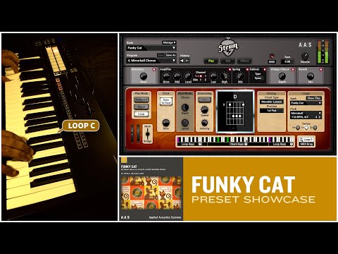 AAS Funky Cat Loop Showcase—Niall McCallum sound pack for Strum GS-2 and AAS Player