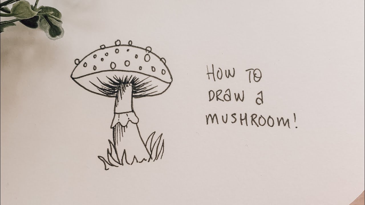 How to draw a mushroom! #shorts
