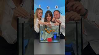 1, 2, 3 - 🏆🥚???