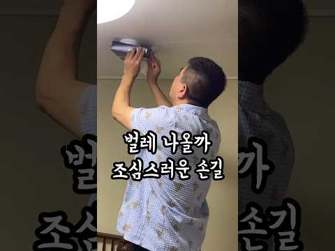 1편) 아빠한테 돈벌레 나왔다고 하고 용돈 드리기 몰카👨‍👧💵(다음편 나왔음)