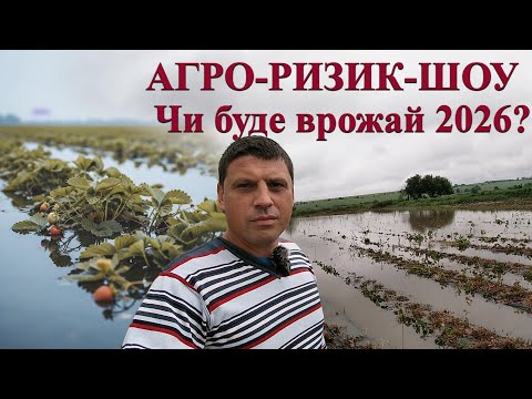 Коли природа проти: Наслідки потопу для полуничної ферми