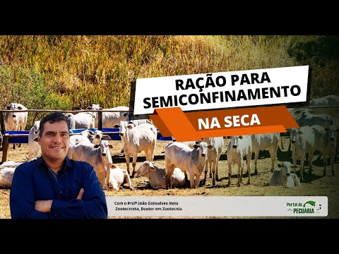 Ração para semiconfinamento na seca