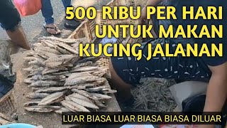 LUAR BIASA BAPAK INI SETIAP HARI BELI IKAN HINGGA 500 RIBUAN UNTUK KASIH MAKAN KUCING JALANAN