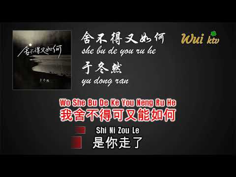 She Bu De You Ru He  – Yu Dong Ran (Karaoke NO VOCAL) / 舍不得又如何 – 於冬然
