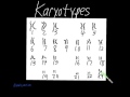 Human Chromosomes and Genetic Disorders