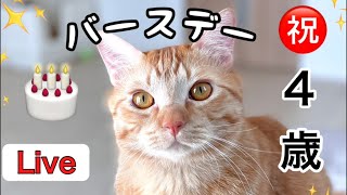 つなまよの親バカ日記 がライブ配信中！