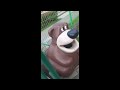 Freddy Fazbear: Características e Profissão