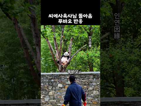 돌아온 씨에사육사님과 첫만남