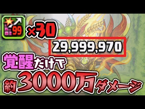 アプデで超強化！”超追加攻撃”だけでダンジョンクリアしてみた【パズドラ】
