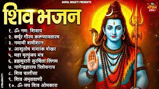 सावन में नसीब वाले ही सुन पायेंगे ये भजन | Nonstop Shiv Bhajan | शिव भजन 2025 | New Shiv Bhajan 2025