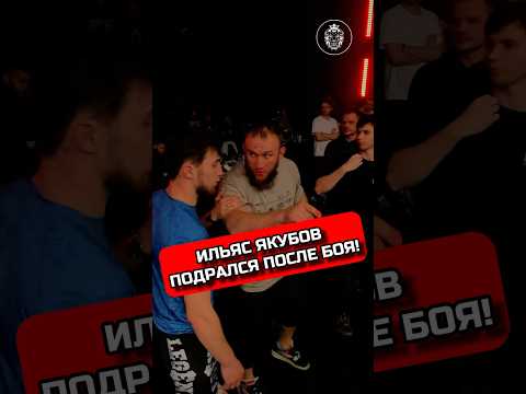 ИЛЬЯС ЯКУБОВ ОТСТРАНЕН ОТ БОЕВ #кулачка #хардкор #бокс #fighting #ufc #boxing #ильясякубов #ufc294