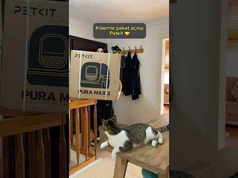 Kürek derdine son, otomotik kedi tuvaletim geldi #işbirliği #reklam
