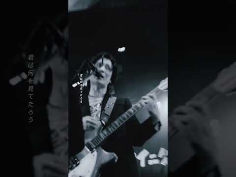 ✳✳「ネクター」Live Video Out✳✳