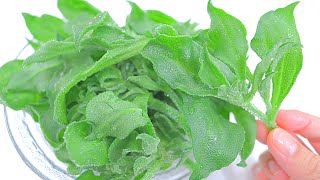 【咀嚼音】アイスプラント Ice Plant Eating Sounds No Talking【ASMR】
