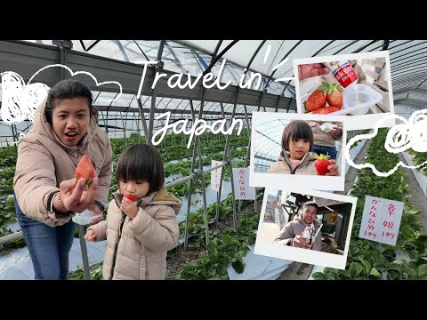 Sweet Winter Travel🍓Strawberry Picking in Chiba, Japan✨