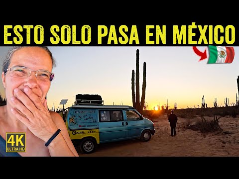 POR ESTO NO PODEMOS SALIR DE AQUÍ 🤩 VIVIR EN MOTORHOME EN MÉXICO - BAJA CALIFORNIA SUR  T11-E47