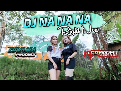 DJ AKON   RIGHT NOW  Na Na Na  REMIX SLOW BASS 69 PROJECT TERBARU