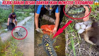 Rejeki Banjir Besar Dapat Banyak Ikan Monster Terdampar, Cek Bubu Di Rawa, dan jumpa telur predator