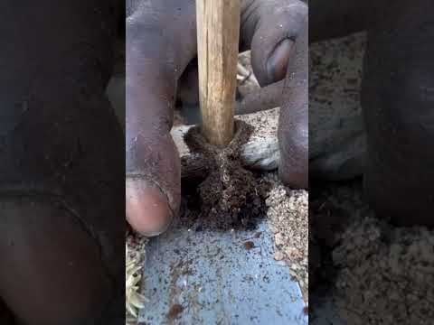 Hadzabe Tribe still use ancient techniques while preserving traditional lifestyle in the nature 🥰