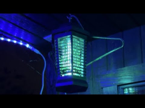 (Part 5) Zapping bugs ASMR untill my phone dies ⚡️