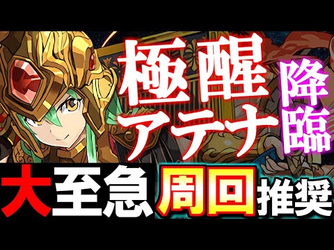 【まだ作っていない方必見】極醒アテナ降臨は"今"周回した方がいいです!!その理由とは...？【パズドラ】